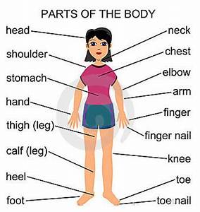 Chinese Body Parts Vocabulary