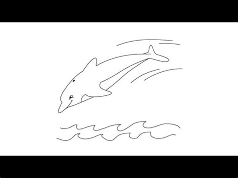 Learn how to draw pictures easy pictures using these outlines or print just for coloring. How to draw a Dolphin - Easy step-by-step drawing lessons for kids - YouTube