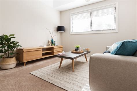 Apartment Living Room Decor With Carpet House Decor Interior