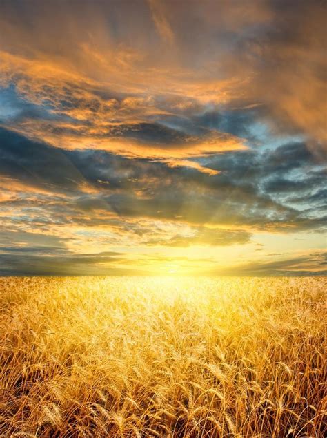 Sunset Over A Wheat Field Beautiful Sunset Beautiful World Lovely