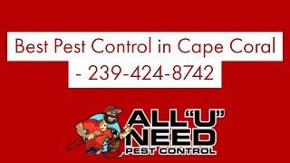 Categories:pest control companies, pest control services. 3 Best Pest Control Companies in Cape Coral, FL - Expert ...
