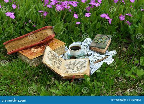 Still Life With Tea Party And Reading Books In The Garden Stock Image