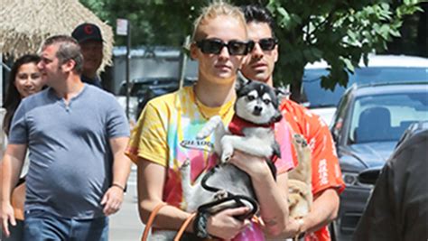 Yoga that resonates new york: Sophie Turner Holds Dog In NYC After Other Puppy Was ...