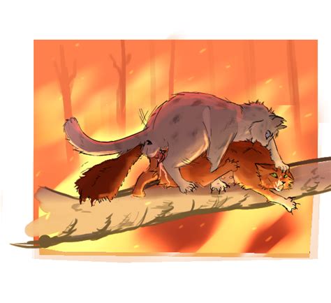 Post 3707094 Ashfur Irkendrool Squirrelflight Warriorcats