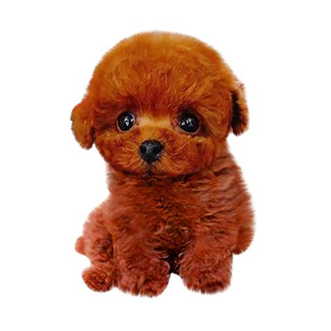 Lidyce Realistic Teddy Dog Lucky Handmade Realistic Figure Toy Dog