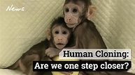Human-chimp hybrid: ‘Humanzee’ reportedly born in lab 100 years ago ...