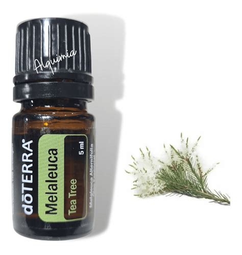 Óleo Essencial Melaleuca 5ml Doterra Original Mercadolivre