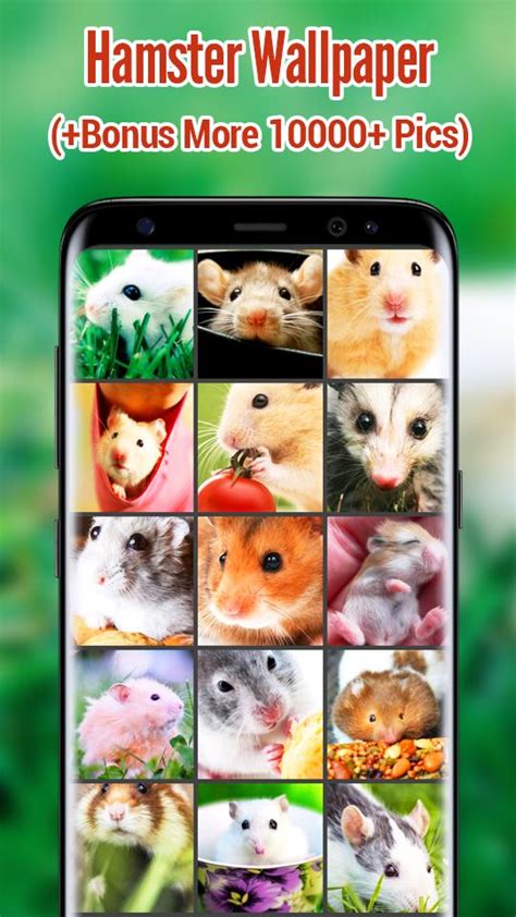 Hamster Wallpapers Apk For Android Download