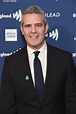 Andy Cohen Discusses Denise Richards' Departure from RHOBH after Two ...