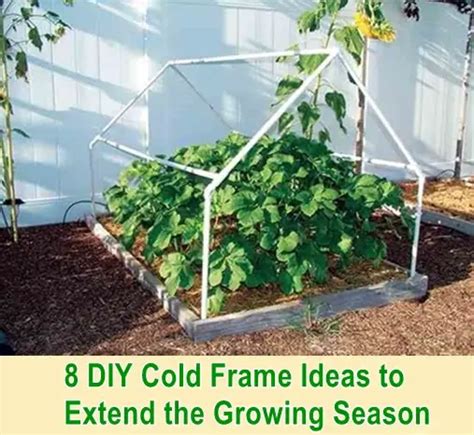 8 Diy Cold Frame Ideas To Extend The Growing Season The Homestead