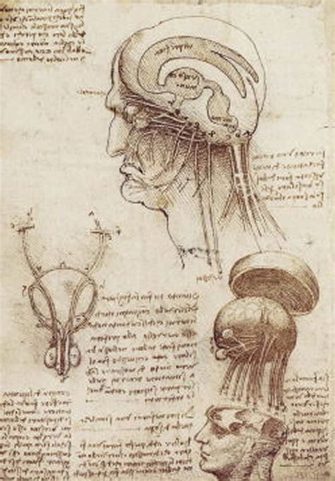 💐 Leonardo Da Vinci Science Accomplishments What Are Leonardo Da Vinci