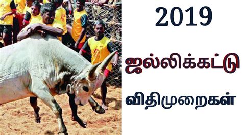 Direksi:lijo jose pellissery, tinu pappachan. 2019 jallikattu rules #ஜல்லிக்கட்டு விதிமுறைகள் - YouTube