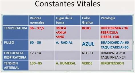 Valores De La Temperatura Corporal Signos Vitales Clases De My XXX