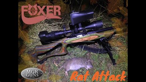 Rat Busting And Rabbit Shooting With A Ruger 1022 Semi Auto 22lr Youtube
