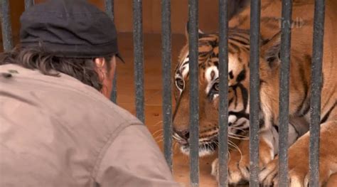 Casey Anderson Faces A Man Eating Tiger In Monster Encounters