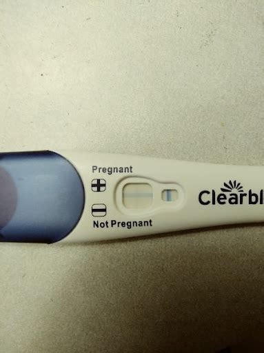 Can A Pregnancy Test Be Positive Before A Missed Period Pregnancywalls