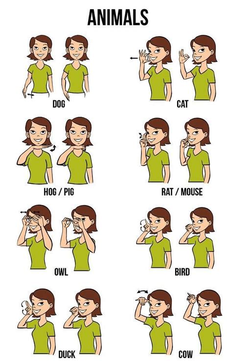 (this is why you'll never meet a universal sign language interpreter.) read on to find out more about some of the different types of sign languages and how. Pin by Pegta Pins on ALLES | Sign language, Sign language ...