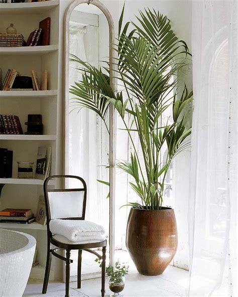 Ideas Para Decorar Con Plantas De Interior Indoor Plant Pots Indoor