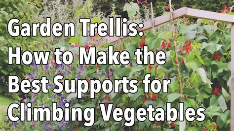 Garden Trellis How To Make The Best Supports For Climbing Vegetables