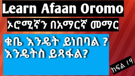 ቁቤ አፋን ኦሮሞ ማንበብ አና መፃፍ ክፍል 2 Read And Write Qubee Afaan Oromolearn