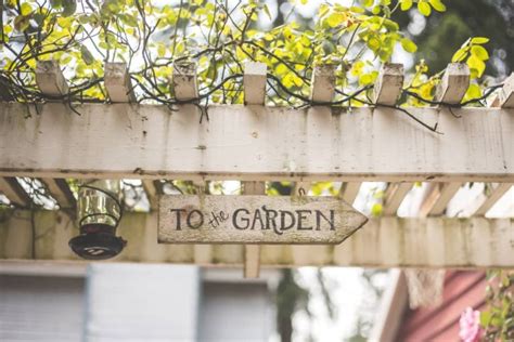 28 Trellis Ideas To Inspire Your Next Garden Project