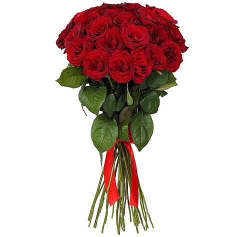Bouquet di rose bianche e rosse. Mazzo 25 Rose Rosse Medie