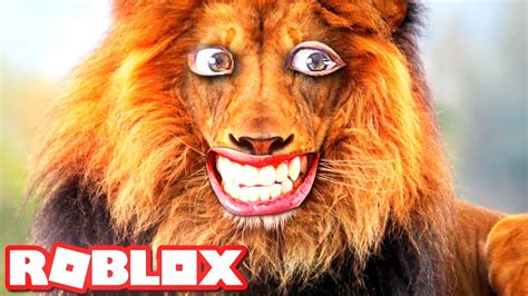 Rawr I Am A Lion In Roblox Youtube