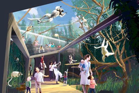 St Louis Zoo Will Build More Naturalistic Habitat For Monkeys Set To