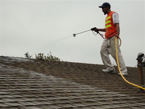 Soft Wash Roof Cleaning Seattle Seattle Roof Cleaning