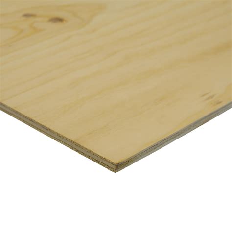 Ibs Mini Panels 1200 X 600 X 12mm Untreated Cd Plywood Bunnings New