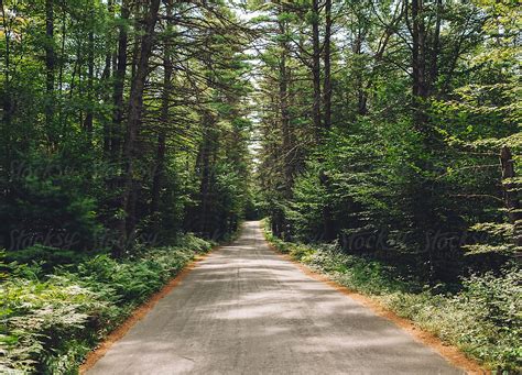 Rural Road In New Hampshire Del Colaborador De Stocksy Raymond