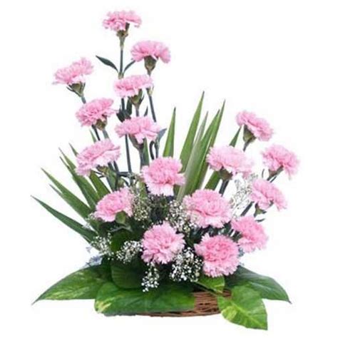 Basket Arrangement Of 20 Pink Carnations Myflowert
