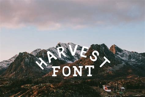Harvest Font Stunning Fonts Creative Market