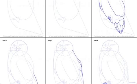 How To Draw A Snowy Owl Printable Step By Step Drawing Otosection