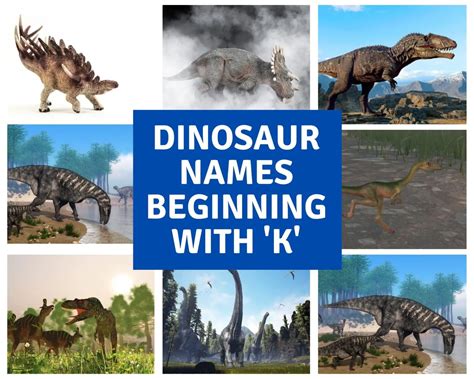 Dinosaur Names Beginning With K Dinosaur Facts For Kids
