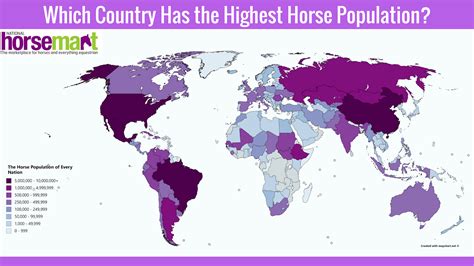 Where Do Horses Live In The World
