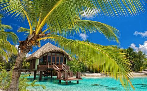 Tropical Island Ocean Sky Exotic Rest Hut Photos