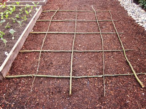 How To Make A Rustic Pea Or Bean Trellis Out Of Sticks