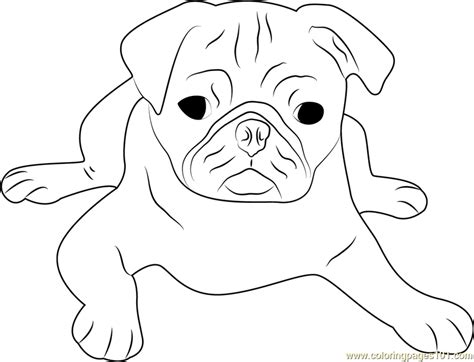 No problems with file, printed crisp and clear! Pugs - Free Colouring Pages