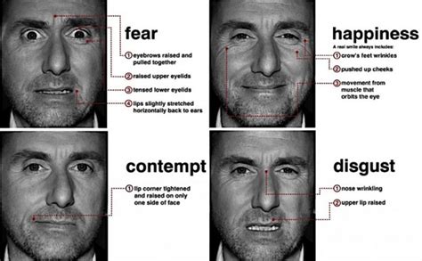 Face Reading Understanding Emotions To Satisfy Their Customers Tsw