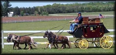 These 8 Miniature Horse Carts Are Totally Adorable Horses Miniature