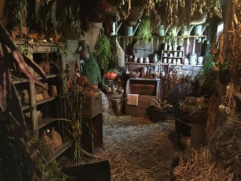 Voice Of Nature Witch Cottage Witch House Interior Inspiration