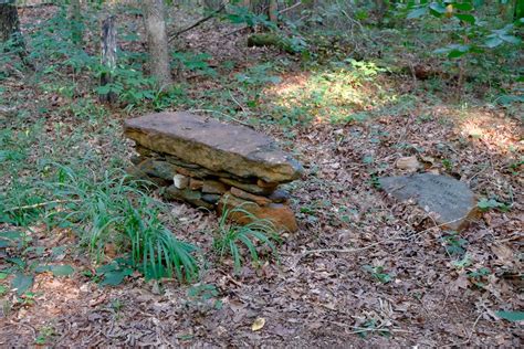 Ramsey Creek Preserve Americas First Modern Natural Burial Cemetery