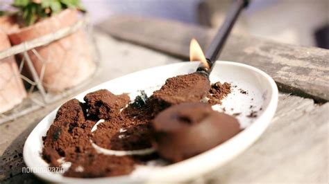 Durchschnittlich trinkt jeder deutsche im jahr 165 liter kaffee und verbraucht dabei 7,2 kilogramm kaffeebohnen. Kaffeesatz im Garten nutzen: Sieben Tipps | NDR.de ...