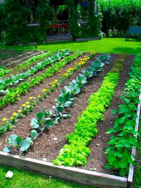 25 Easy Vegetable Garden Layout Ideas For Beginner Decoredo