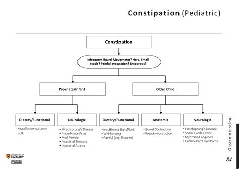 Pediatric Constipation Differential Diagnosis Algorithm Dietary