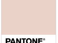 Nude Pantone Ideas Color Inspiration Pantone Colour