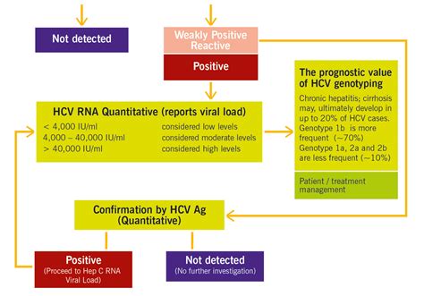 Hepatitis C Antibodies Information The Doctors Laboratory