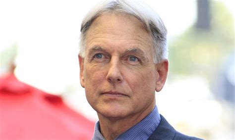 Mark Harmon Facts That Fans Might Not Know About The Actor Who Plays