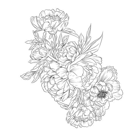 Peony Line Drawing Tattoo Linework Peony Tattoo Design Scientific